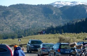 The Wolf Watchers on the second knoll with a better view of the den site