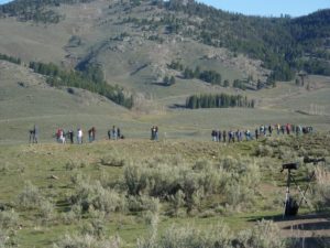 Wolf Watchers. The den is near the middle of the picture.