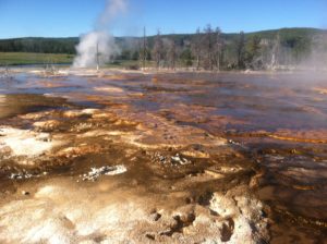 Bacterial Mats in Hot Spring Runoff