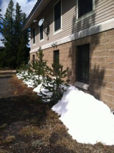 Snow is almost gone . . .